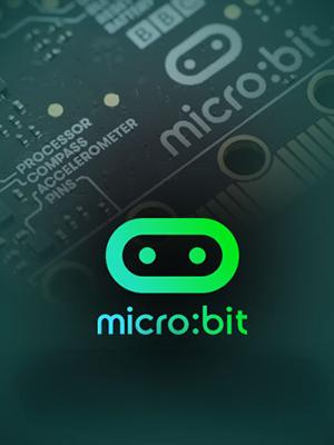 Microbit ile Akıllı Cihaz Tasarımı - 201