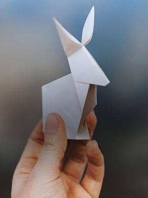 Origami - 201
